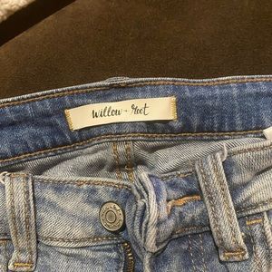 Willow root from buckle